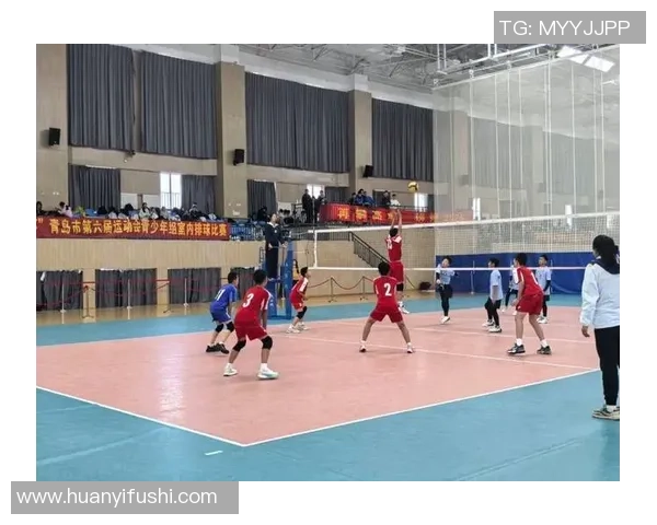 南京排球队的拼搏历程与挑战赛背后的奋斗故事